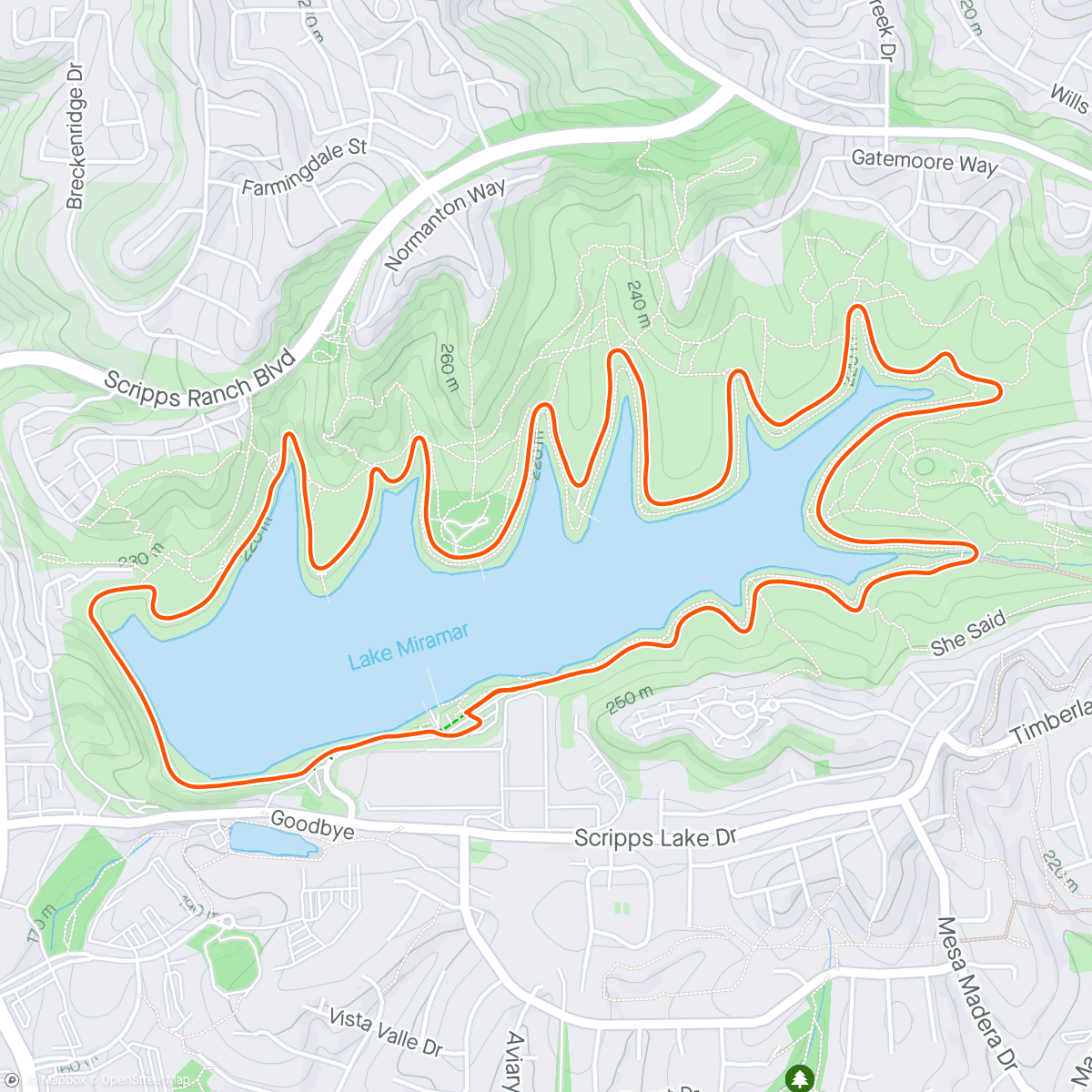 Map of the activity, Lake Run then Yardwork. Evicted a few morning glories. It’s a love-hate relationship. Sometimes they grow where they’re not supposed to.