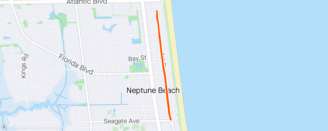 Карта физической активности (Neptune Running Club)