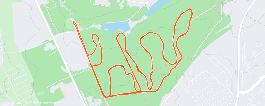 Карта физической активности (Afternoon Nordic Ski)