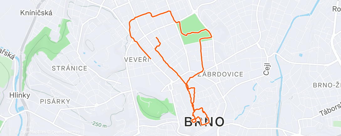 Карта физической активности (Vánoční rezidua)