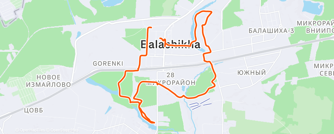 Карта физической активности (Утренняя прогулка)