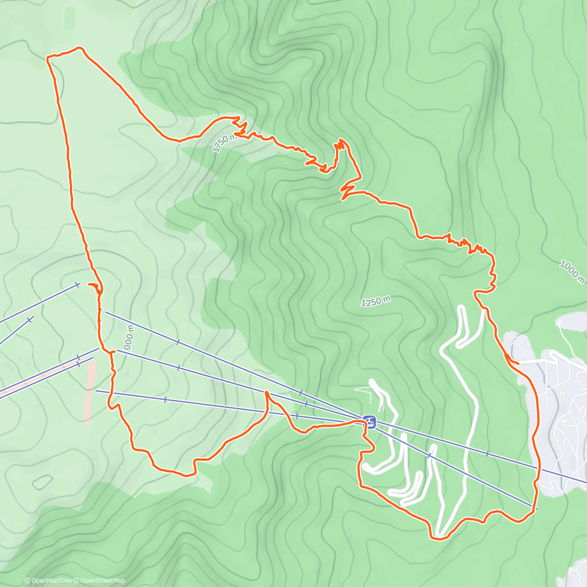Map of the activity, Morning Trail Run