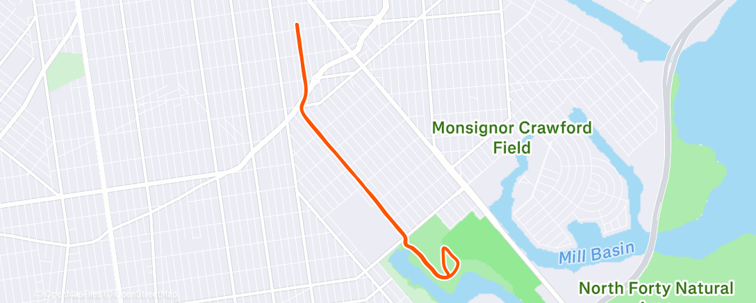 Карта физической активности (Morning Run)