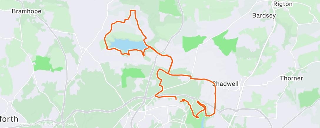 Карта физической активности (Lunch Run)