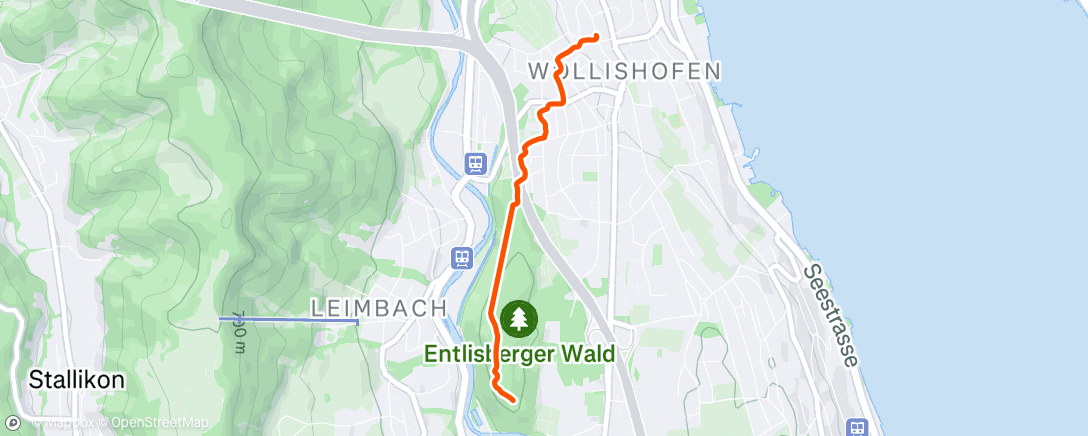 Map of the activity, Afternoon Trail Run