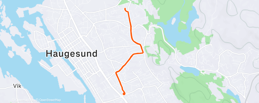 Map of the activity, Evening Run