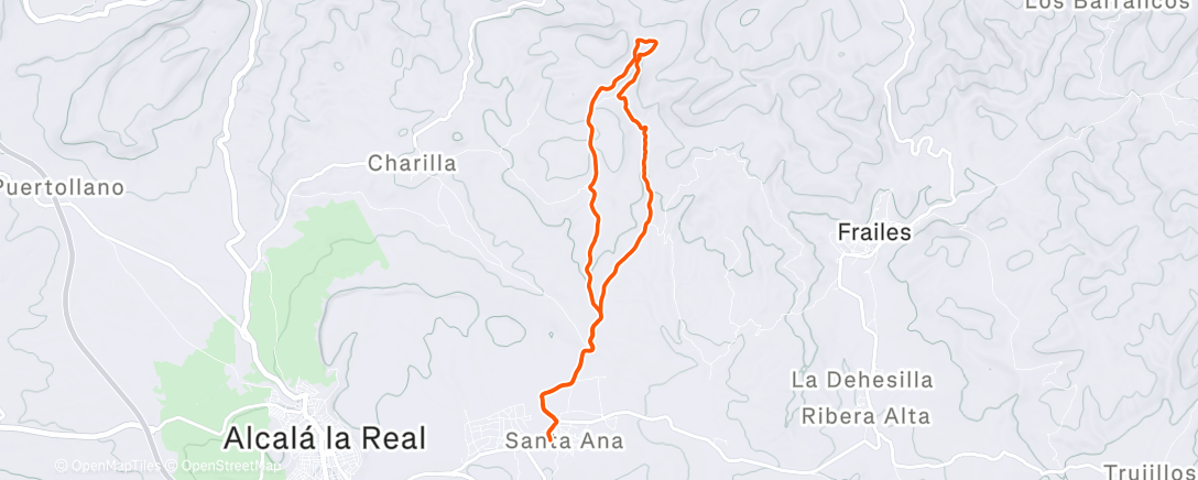 Map of the activity, Morning Trail Run