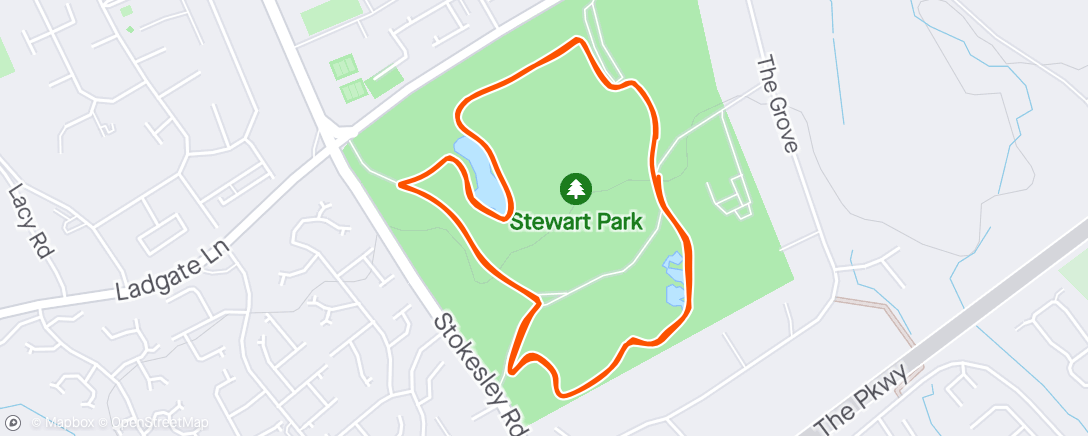 Mapa de la actividad (Stewart parkrun Buggy run ☀️)