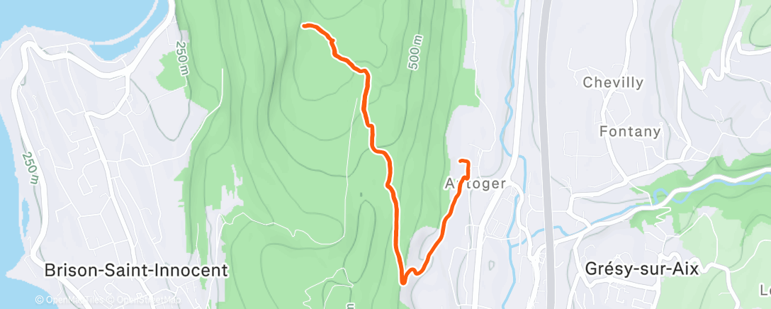 Карта физической активности (Familly Time)