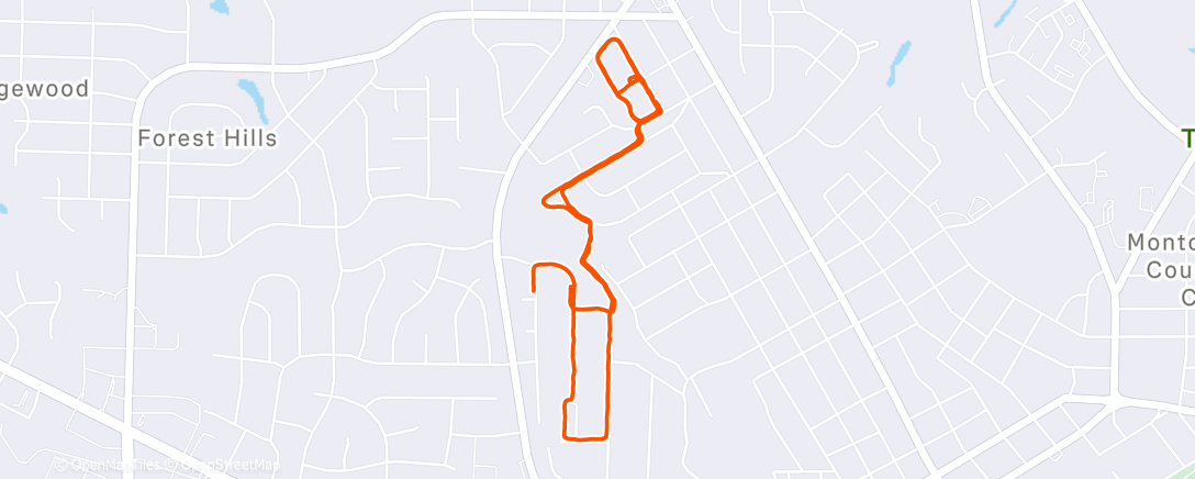 Map of the activity, 1km Repeats