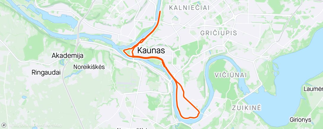 Map of the activity, Kaunas marathon, 2nd place.