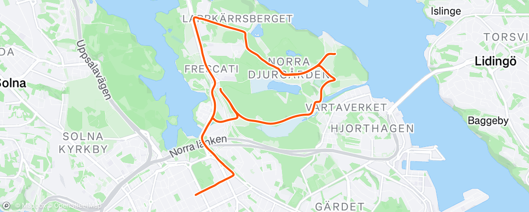 Map of the activity, Afternoon Ride