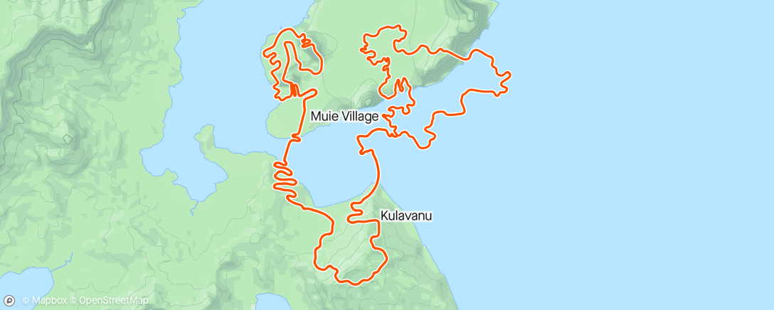Map of the activity, Zwift - 7x 12min