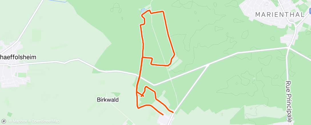 Map of the activity, Marche dans l'après-midi