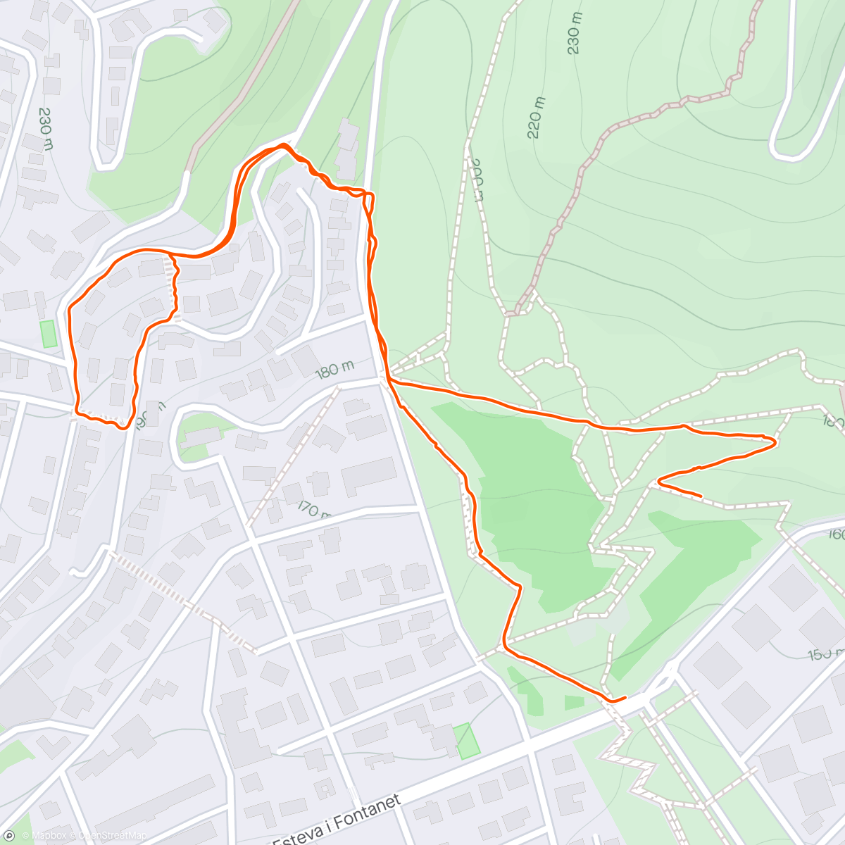 Map of the activity, Caminata de noche con Deku
