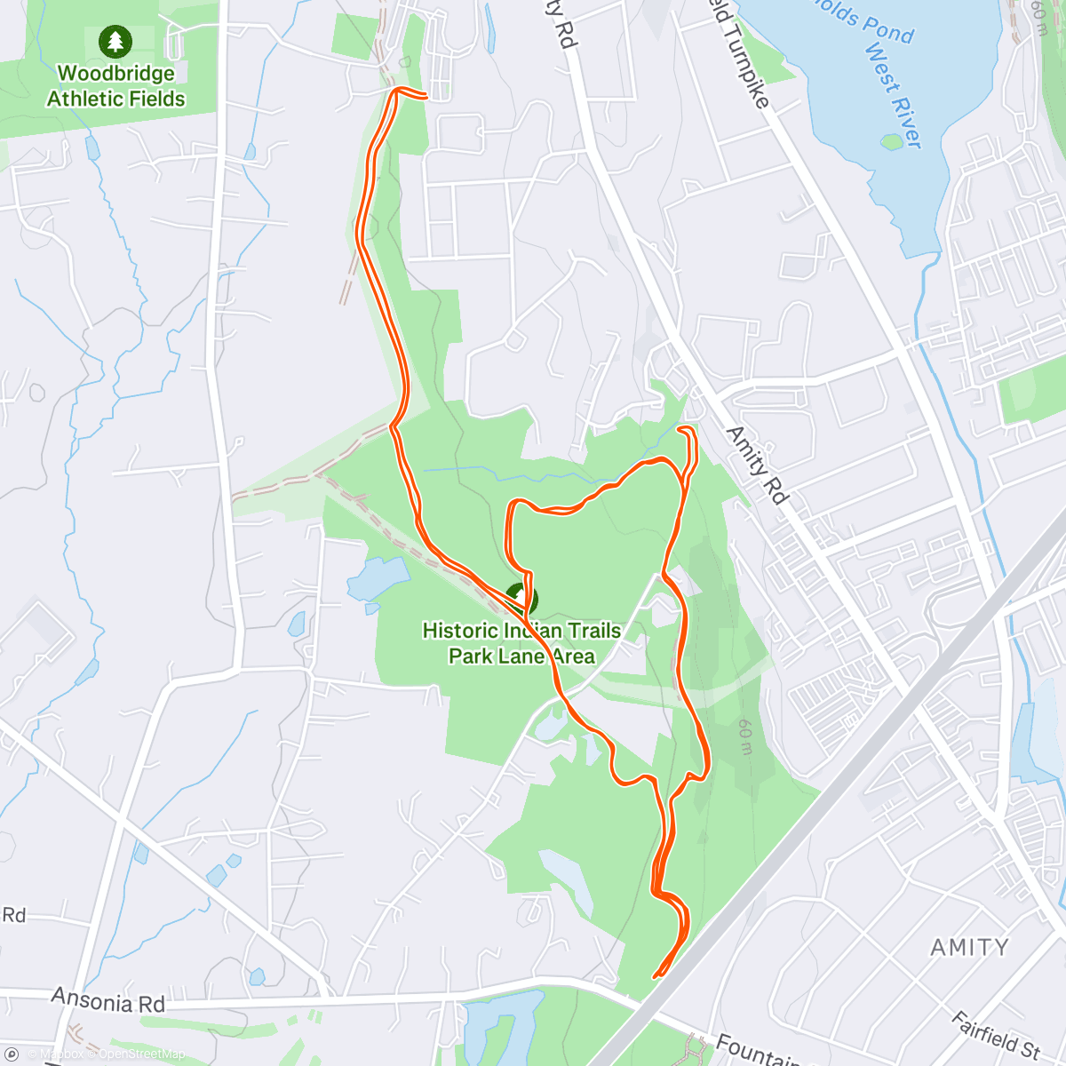 Map of the activity, Morning Trail Run/Hike