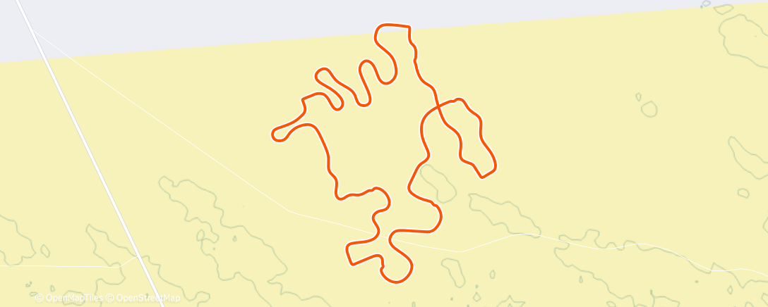 Map of the activity, 🐢