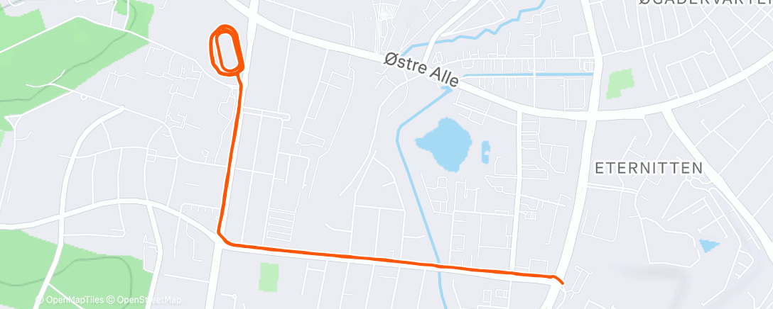 Карта физической активности (Cold Run 🥶)