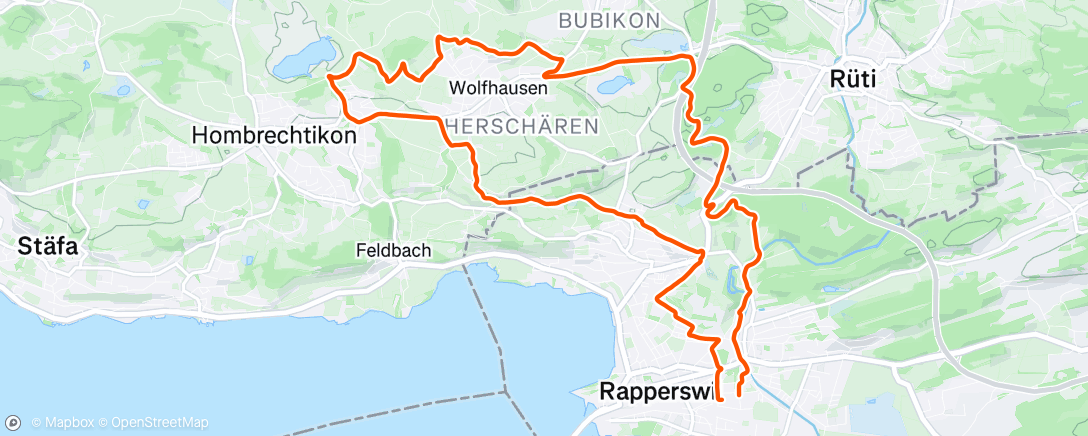 Map of the activity, Morning Run