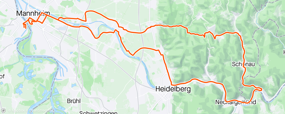 アクティビティ「🚴 // 🏘️🌳⛰️ //📍🇩🇪 Ludwigshafen am Rhein (Südliche Innenstadt) ↔ Neckarsteinach」の地図