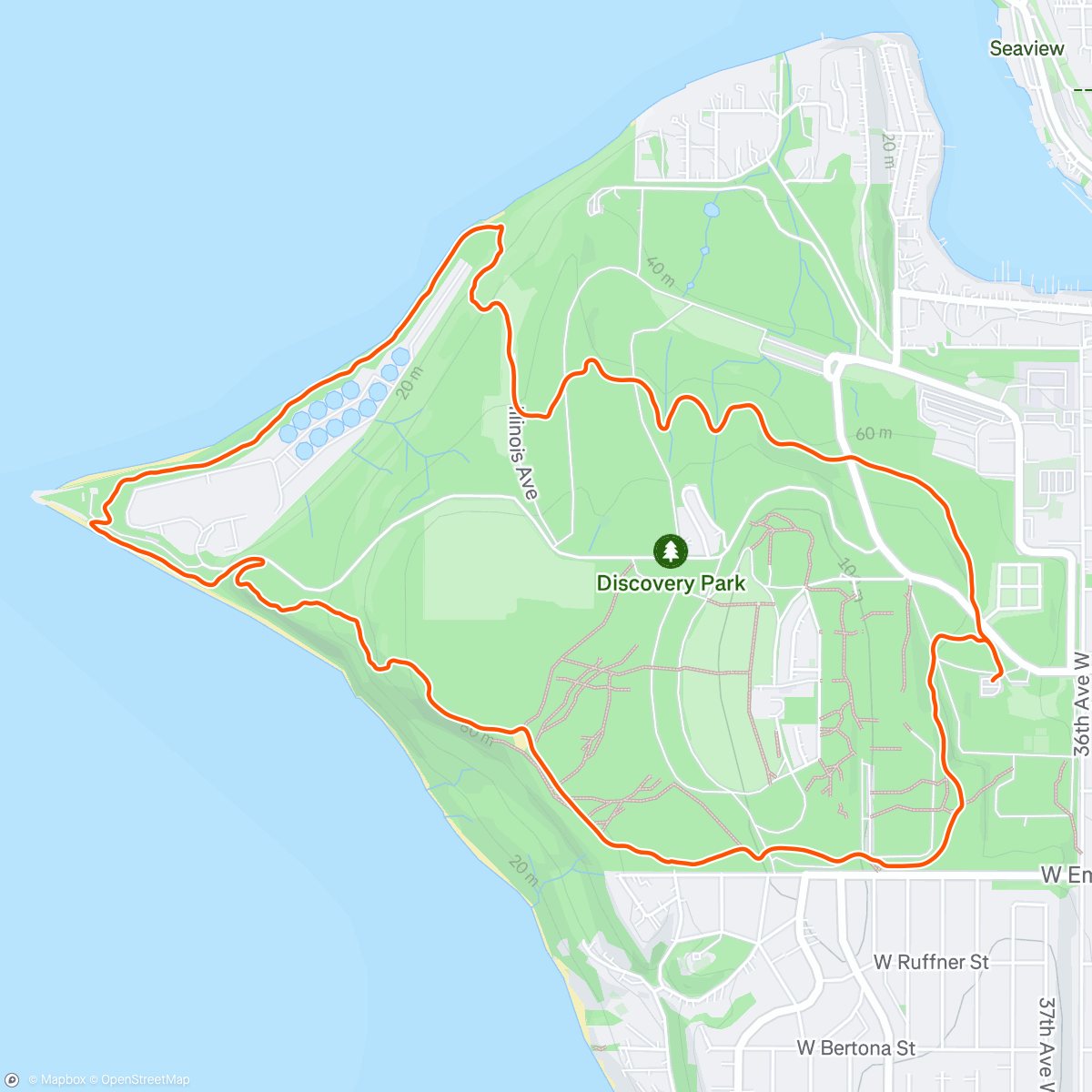 Map of the activity, 🦉