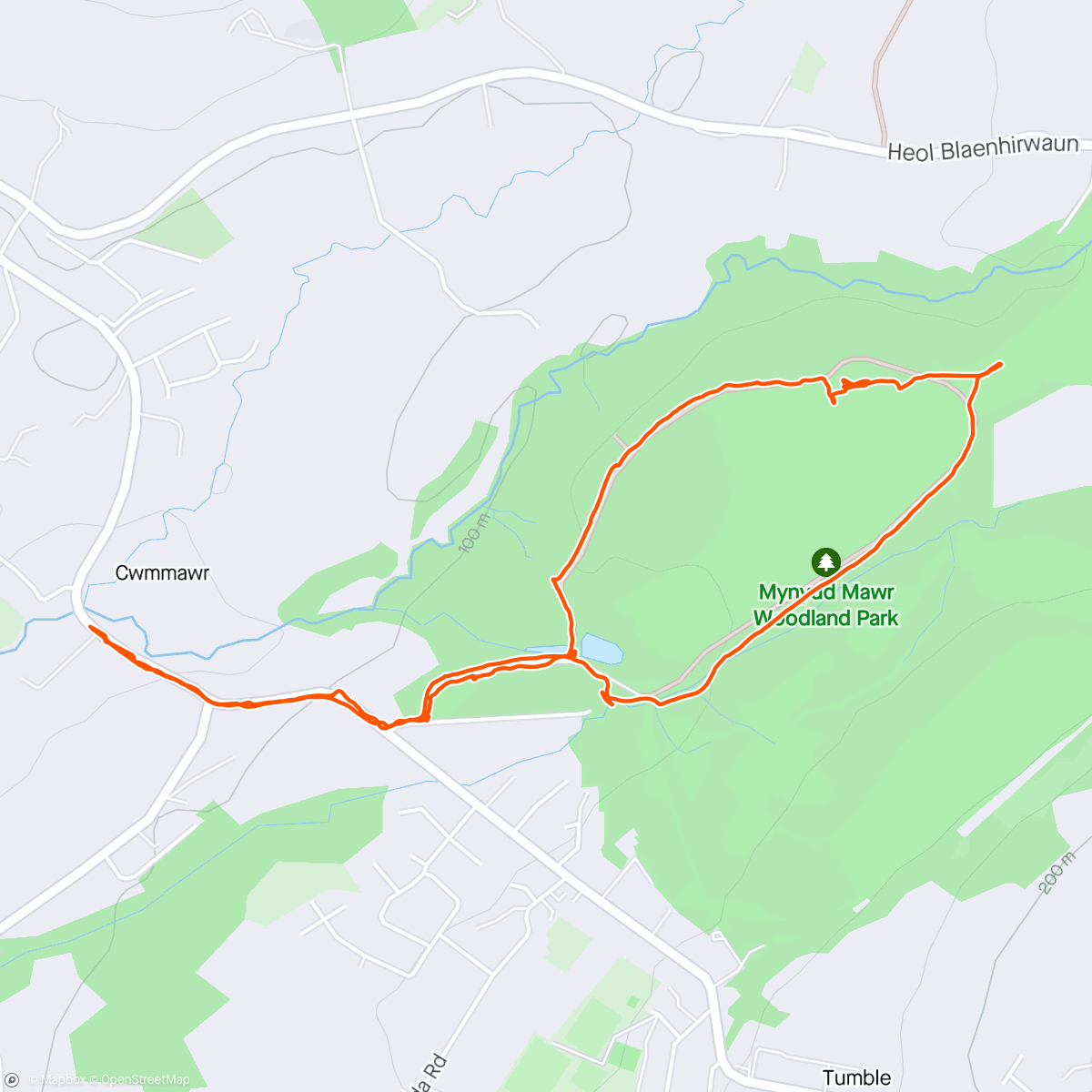 Карта физической активности (Walk round Mynydd Fawr Country Park)
