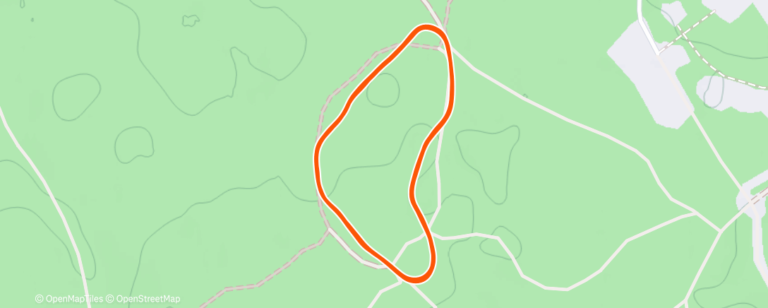 Карта физической активности (Новогодний забег)