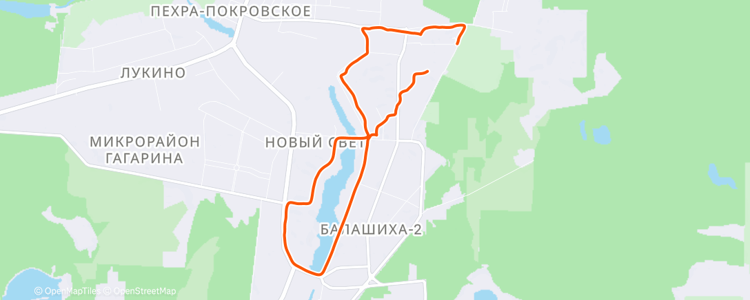 Карта физической активности (Утренний забег)