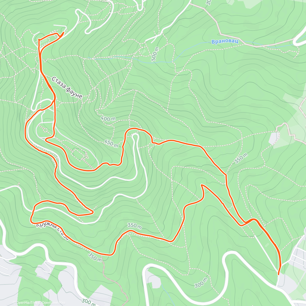 Карта физической активности (Avala)