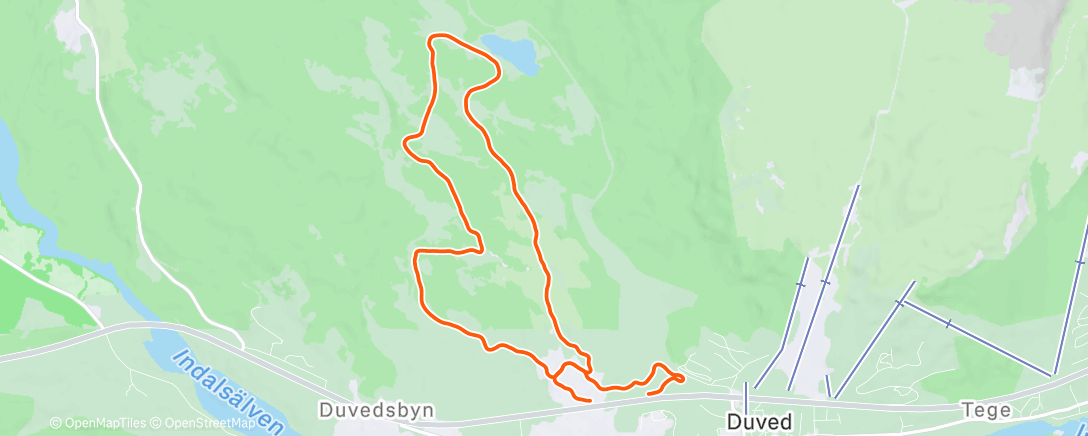 Карта физической активности (Evening Nordic Ski)