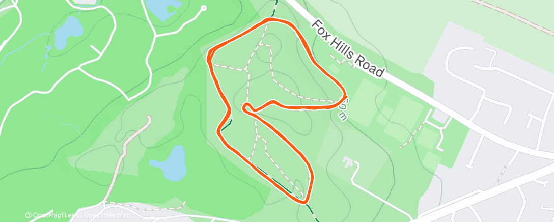 Map of the activity, Homewood Christmas Park run