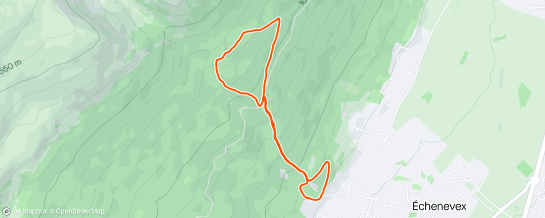 Карта физической активности (🐸 Morning Trail Run 🌧️)