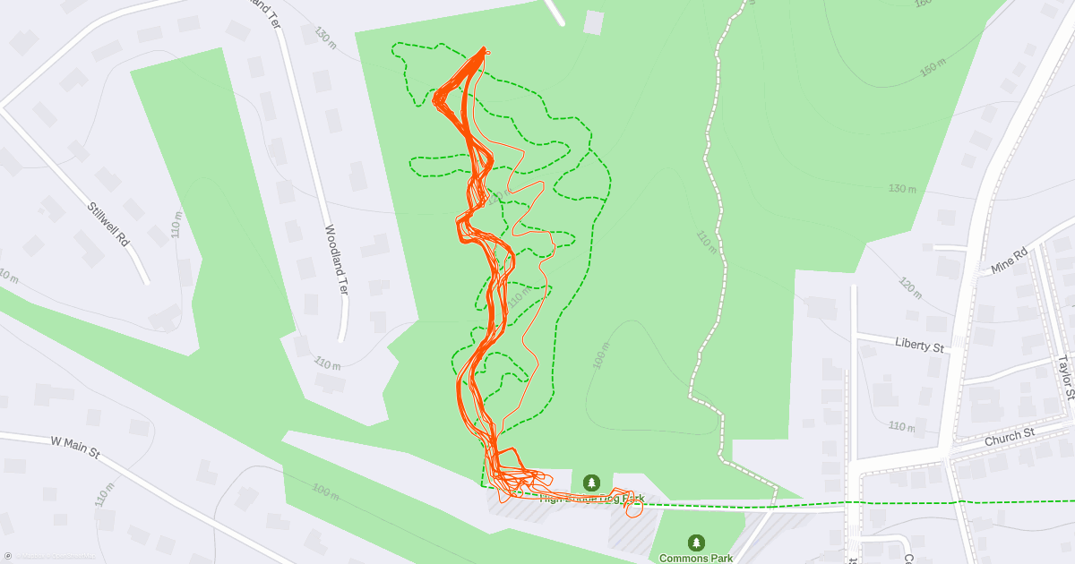 www.strava.com