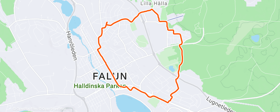 Map of the activity, Evening Run