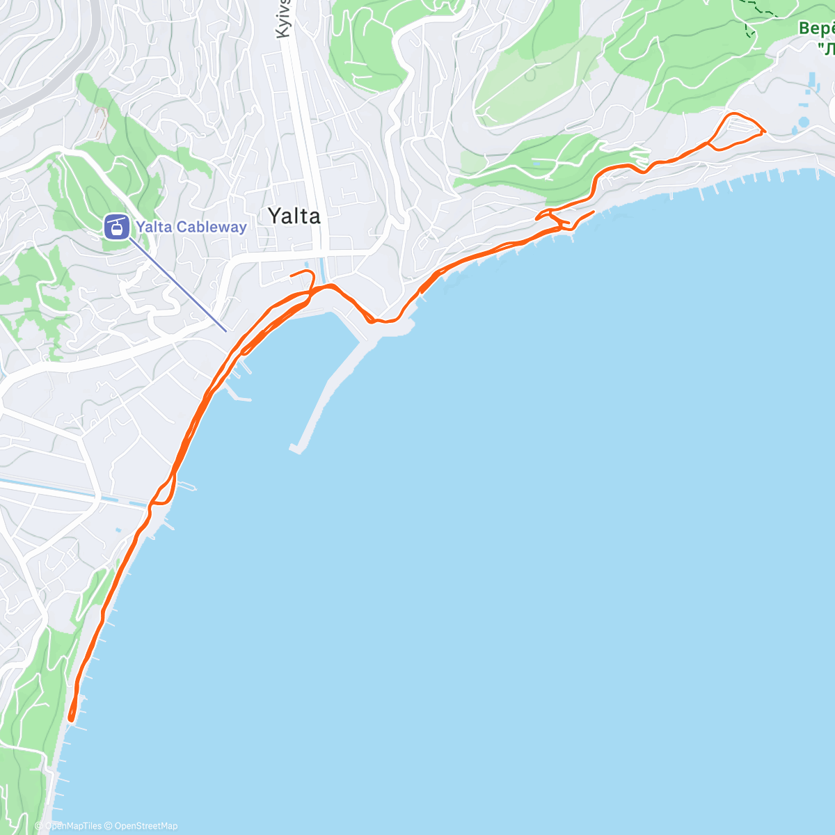 Карта физической активности (Дневной забег)