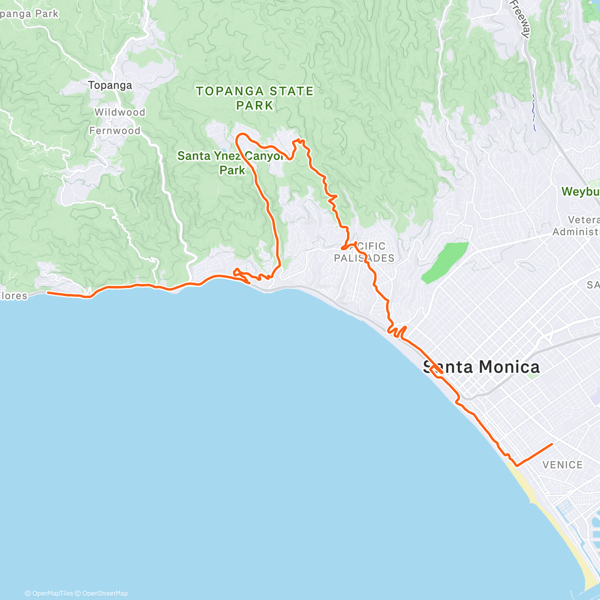 Map of the activity, Palisades fire remembrance