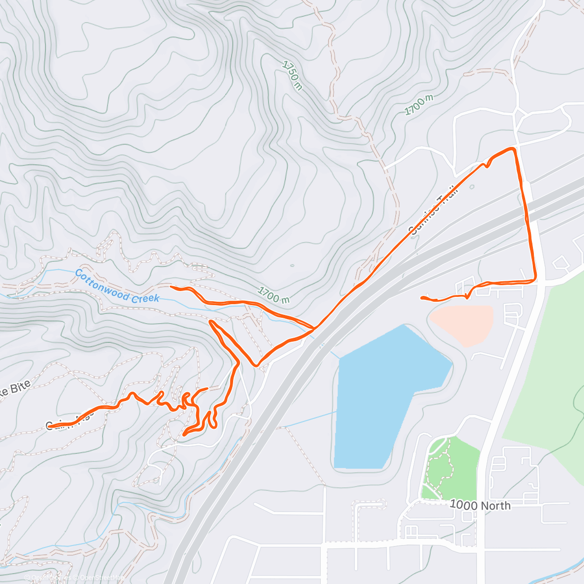 Mappa dell'attività Morning Run