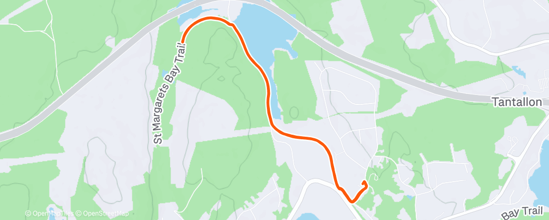 Карта физической активности (4x4x168 Run #17)