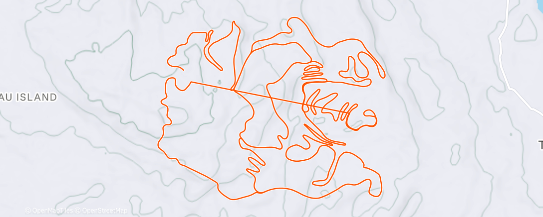 Carte de l'activité Y2K