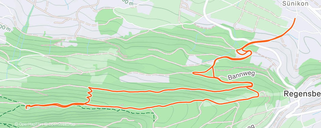 Mapa de la actividad (Spaziergang am Nachmittag)
