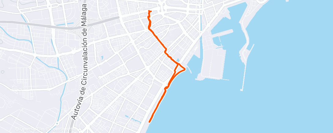 Карта физической активности (Morning Run)