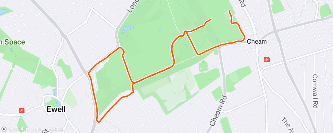 Map of the activity, Afternoon Run