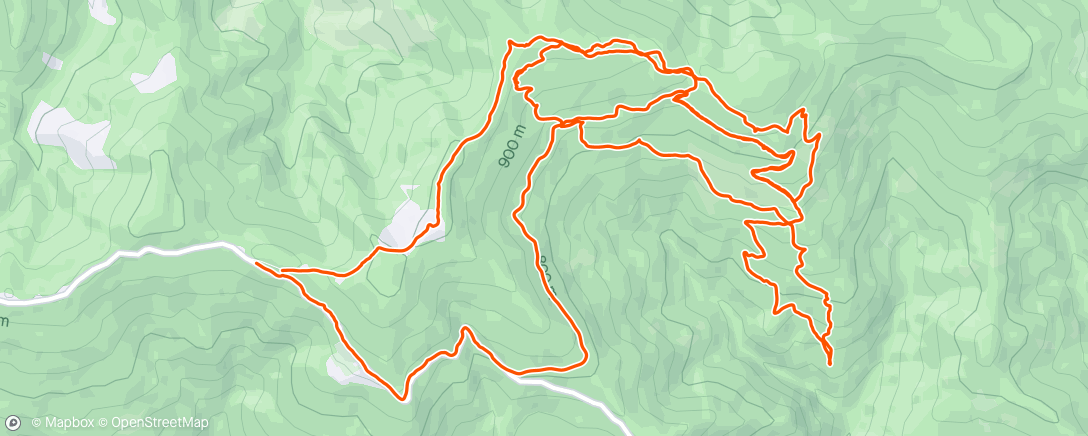 Map of the activity, Ligure