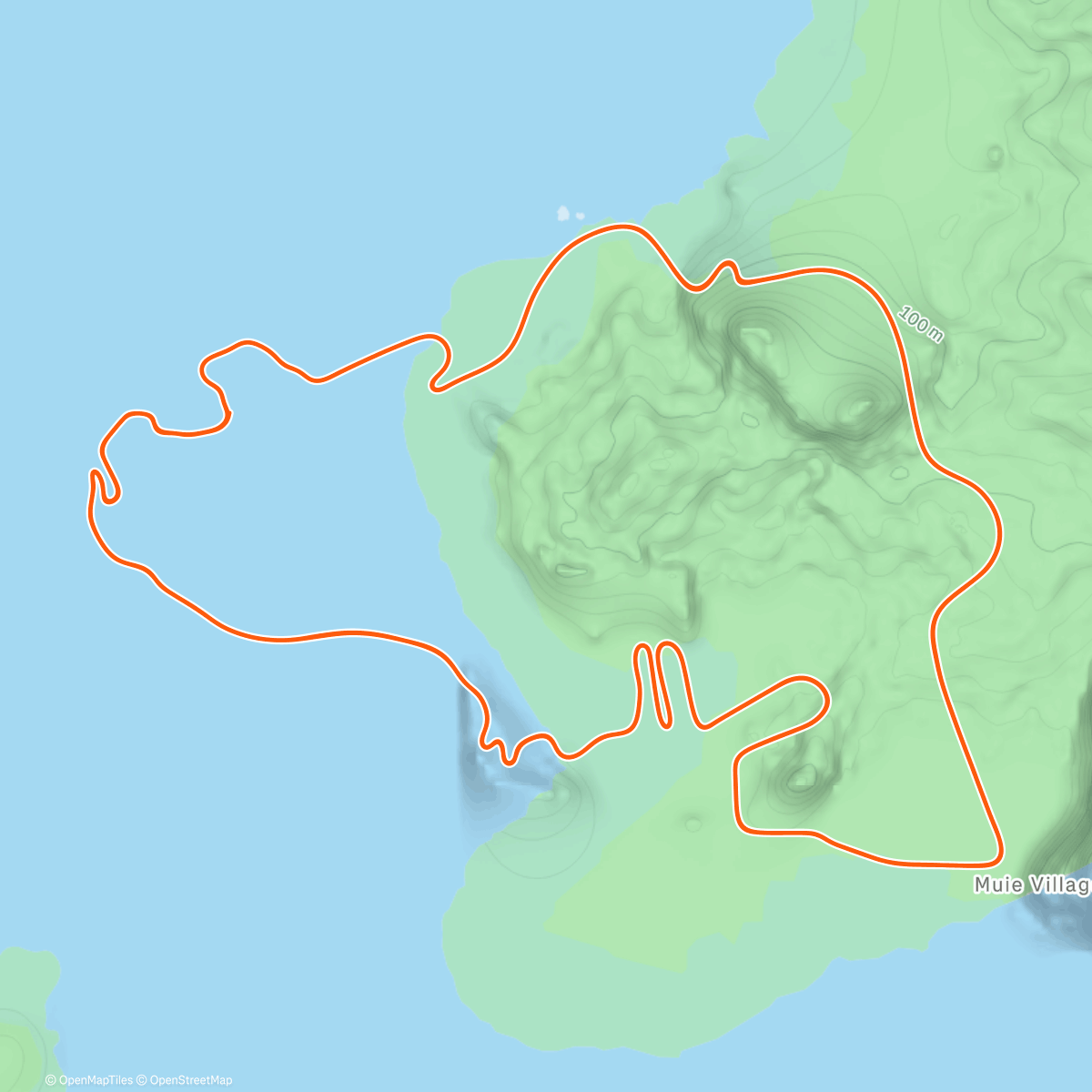 Map of the activity, Zwift - Hang Ten on Volcano Flat in Watopia