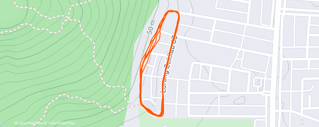 Map of the activity, Evening Run