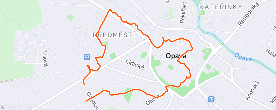 Карта физической активности (Afternoon Walk)