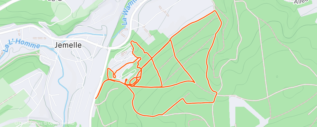 Карта физической активности (173/25: certainement la der de l’année au jardin 🪏)