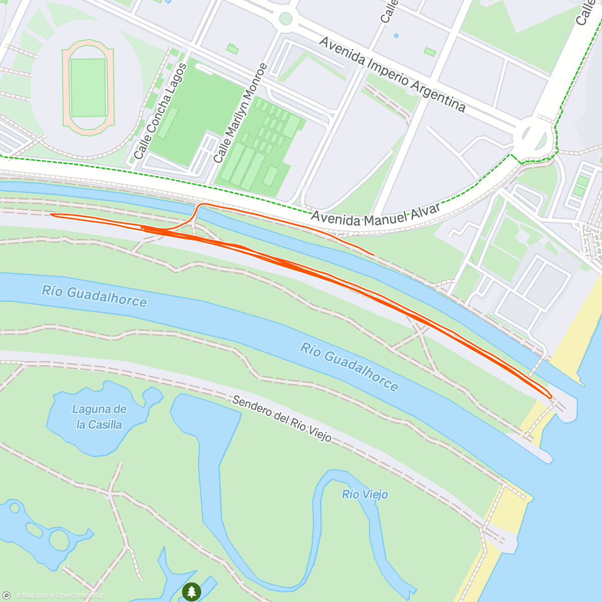 Map of the activity, Técnica+ series