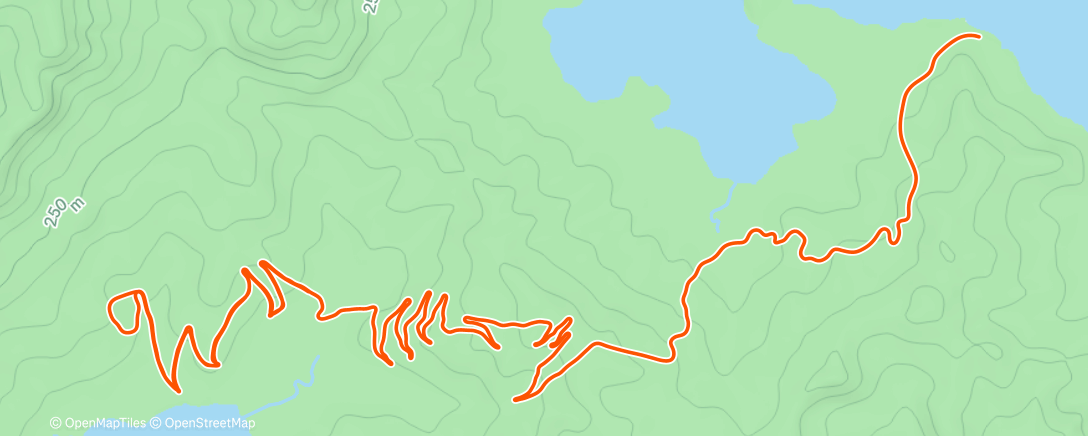 Map of the activity, wwwvad?