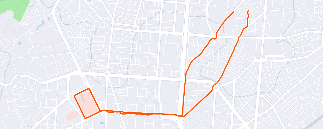 Карта физической активности (Evening Run)